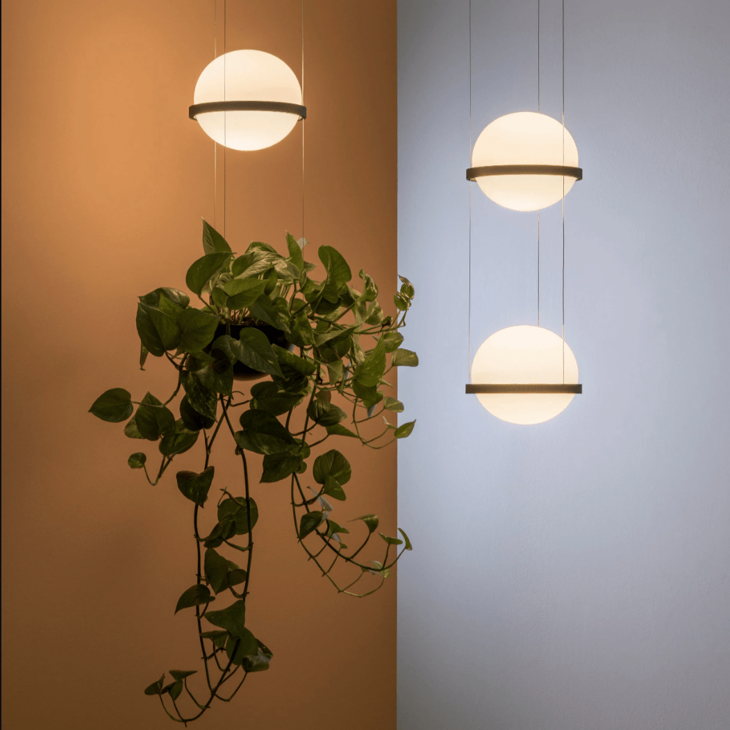 Alva - Planter Light Pendant Chandelier