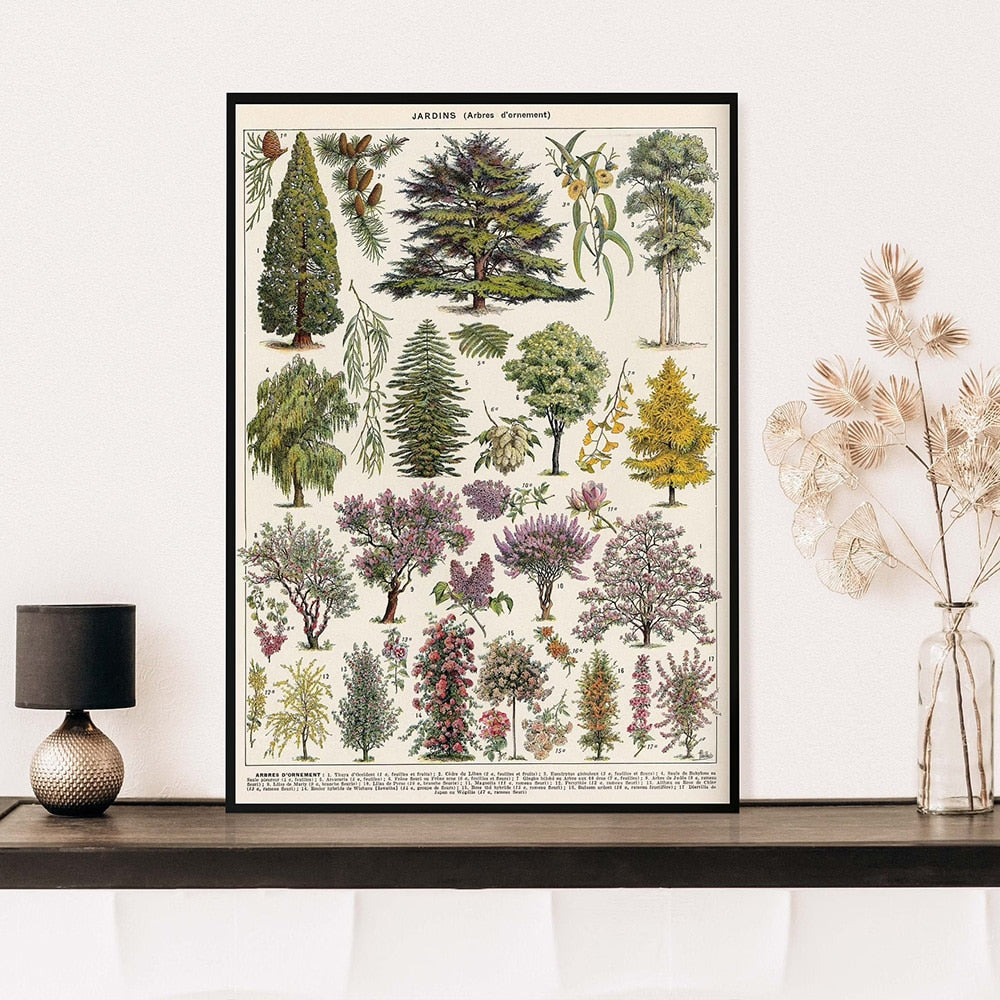 "Lemmikki" Vintage Botanical Prints Canvas Collection