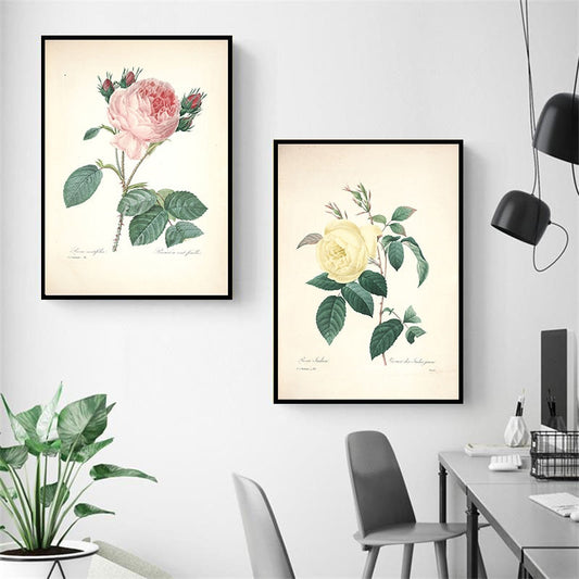 "Vuokko" Vintage Botanical Prints Canvas Collection