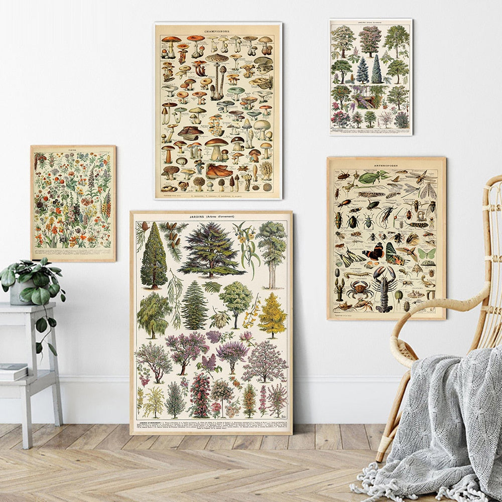 "Lemmikki" Vintage Botanical Prints Canvas Collection