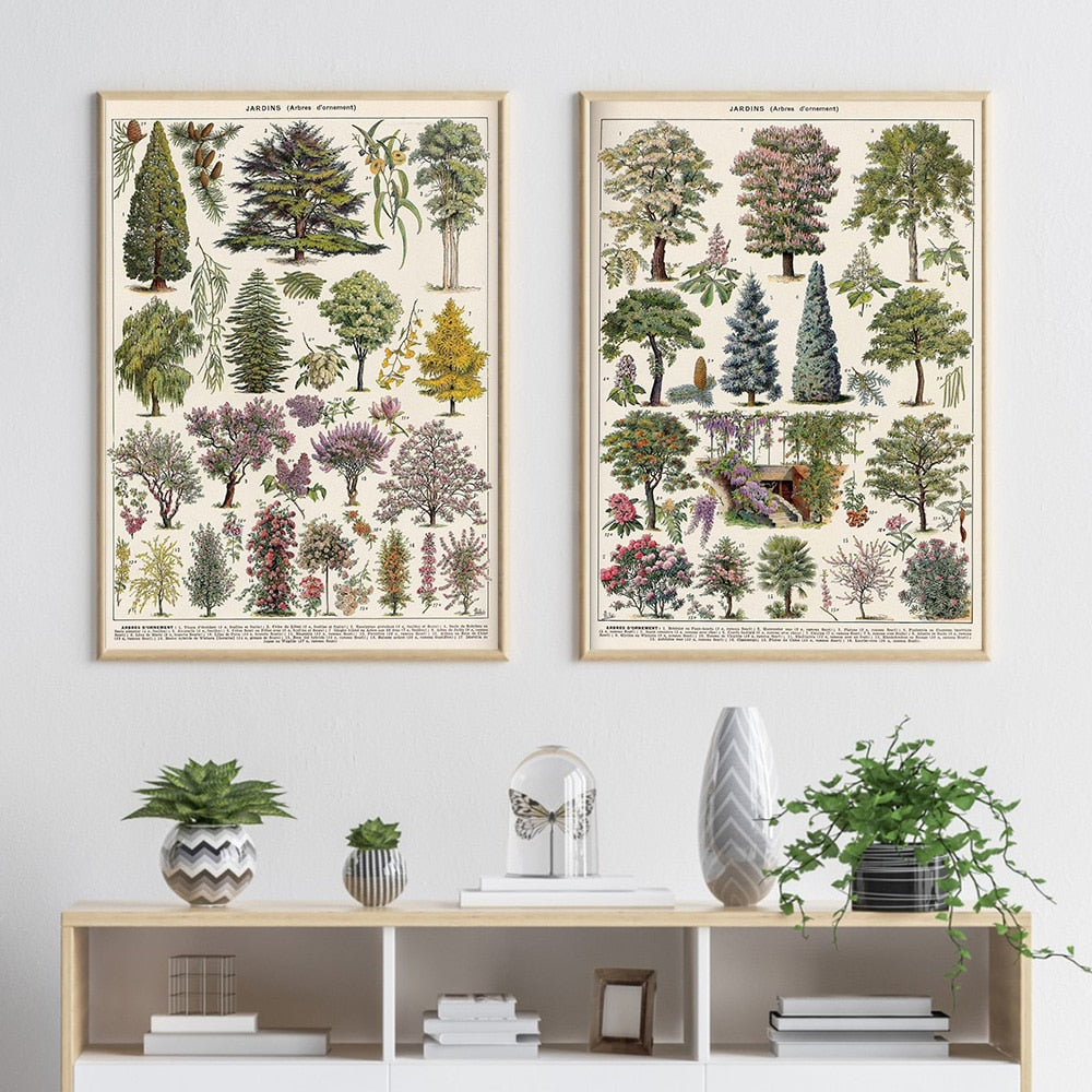 "Lemmikki" Vintage Botanical Prints Canvas Collection