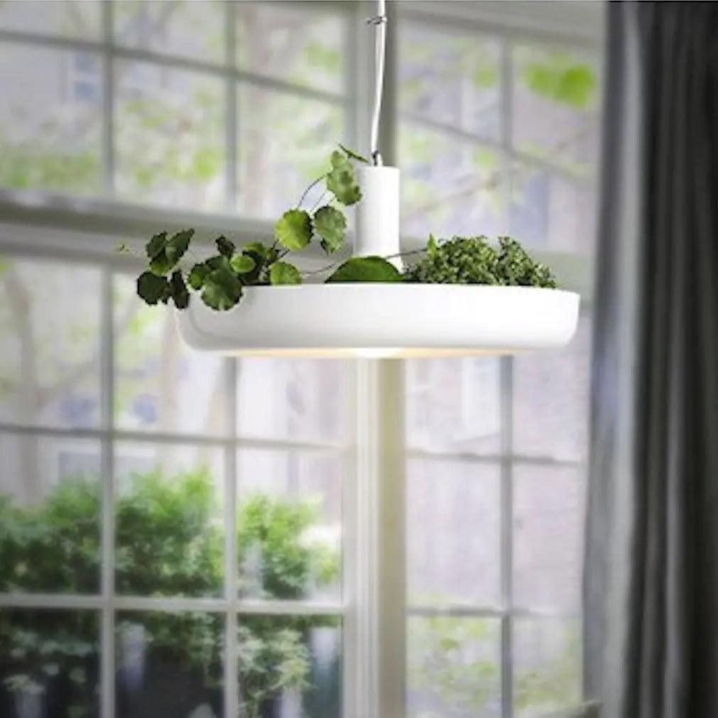 Lagerfeld - Nordic Pendant Planter Light