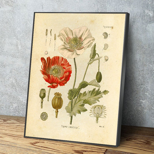 "Orvokki" Vintage Botanical Prints Canvas Collection